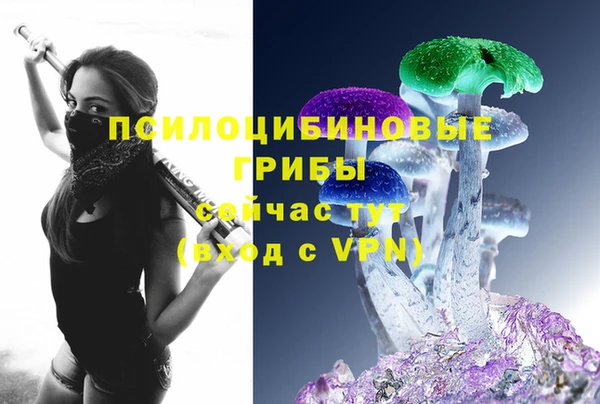 мдпв Дмитров