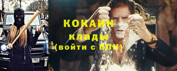 мдпв Дмитров