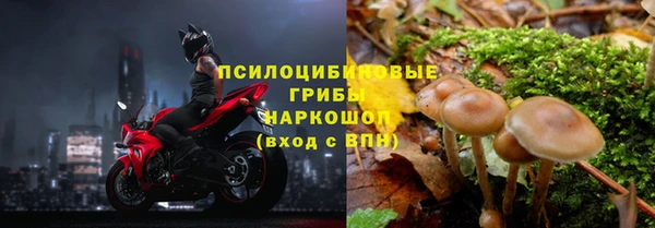 марки lsd Дмитриев
