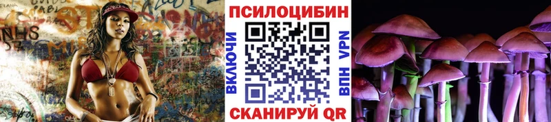 Псилоцибиновые грибы Psilocybe  Купить  Дно 
