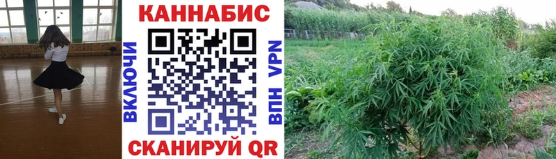 Купить  Дно  Бошки марихуана индика 